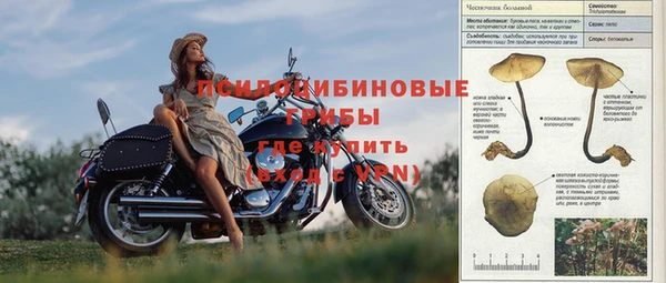 дживик Козельск