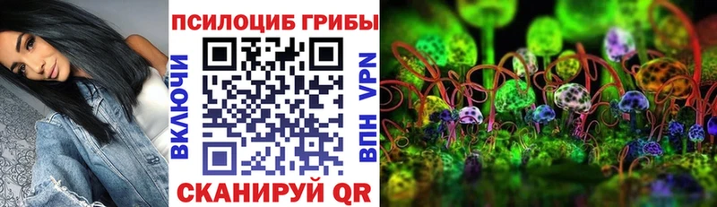 Галлюциногенные грибы мицелий  Купить где  Гурьевск 