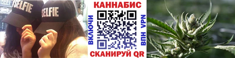 Бошки марихуана семена  Купить где  Гурьевск 